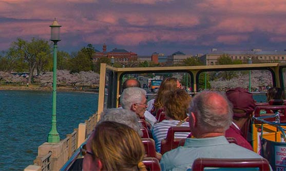 25% off Sunset Tour